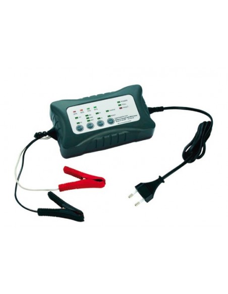 Cargador-mantenedor de baterias PICOYA