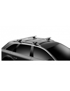 Barra de techo Thule Evo WingBar ALUMINIO 2