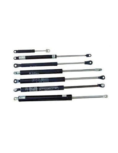 AMORTIGUADORES DE PORTON TRASERO