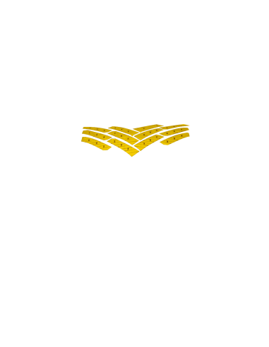 NEUMATICO PIRELLI 205/55R16 91H CINTURATO WINTER