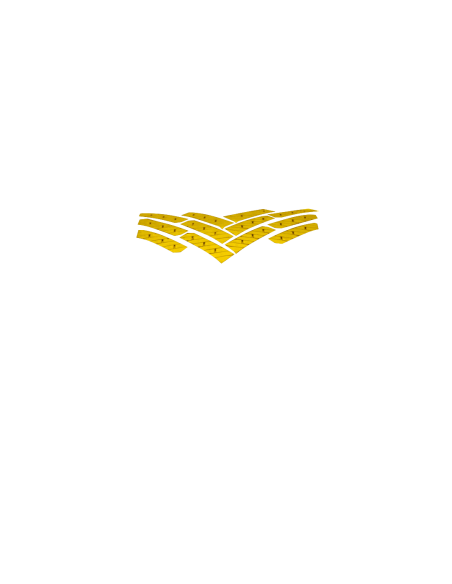 NEUMATICO PIRELLI 205/55R16 91H CINTURATO WINTER