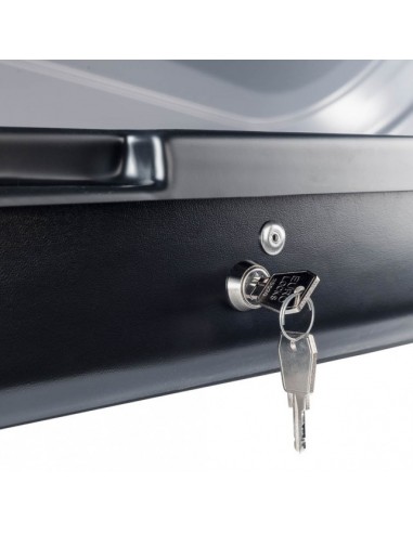 COFRE Cruz Easy 320GM