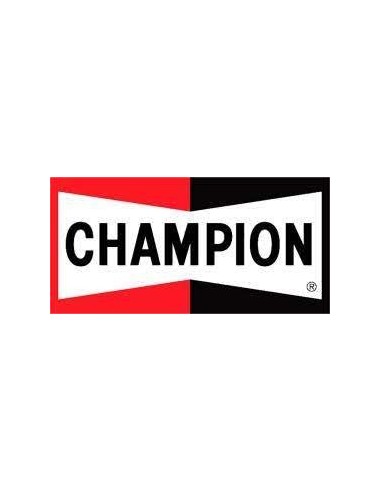 ESCOBILLA CHAMPION EASYVISION 48CM.