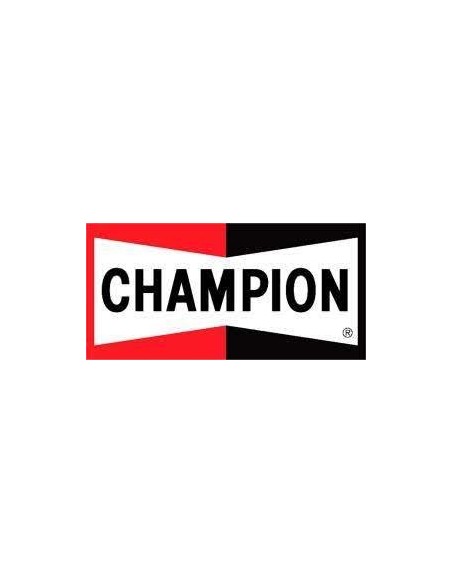 ESCOBILLA CHAMPION AEROVANTAGE 29CM trasera