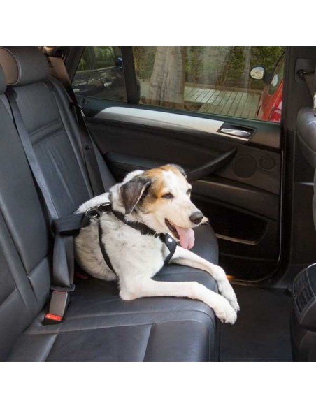 ARNES PARA PERRO TALLA L