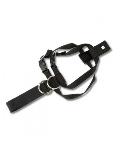 ARNES PARA PERRO TALLA L