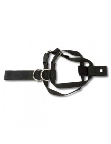 ARNES PARA PERRO TALLA L